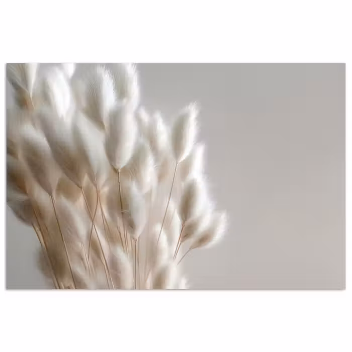 Poster - Federn - Beige - Minimalistisch