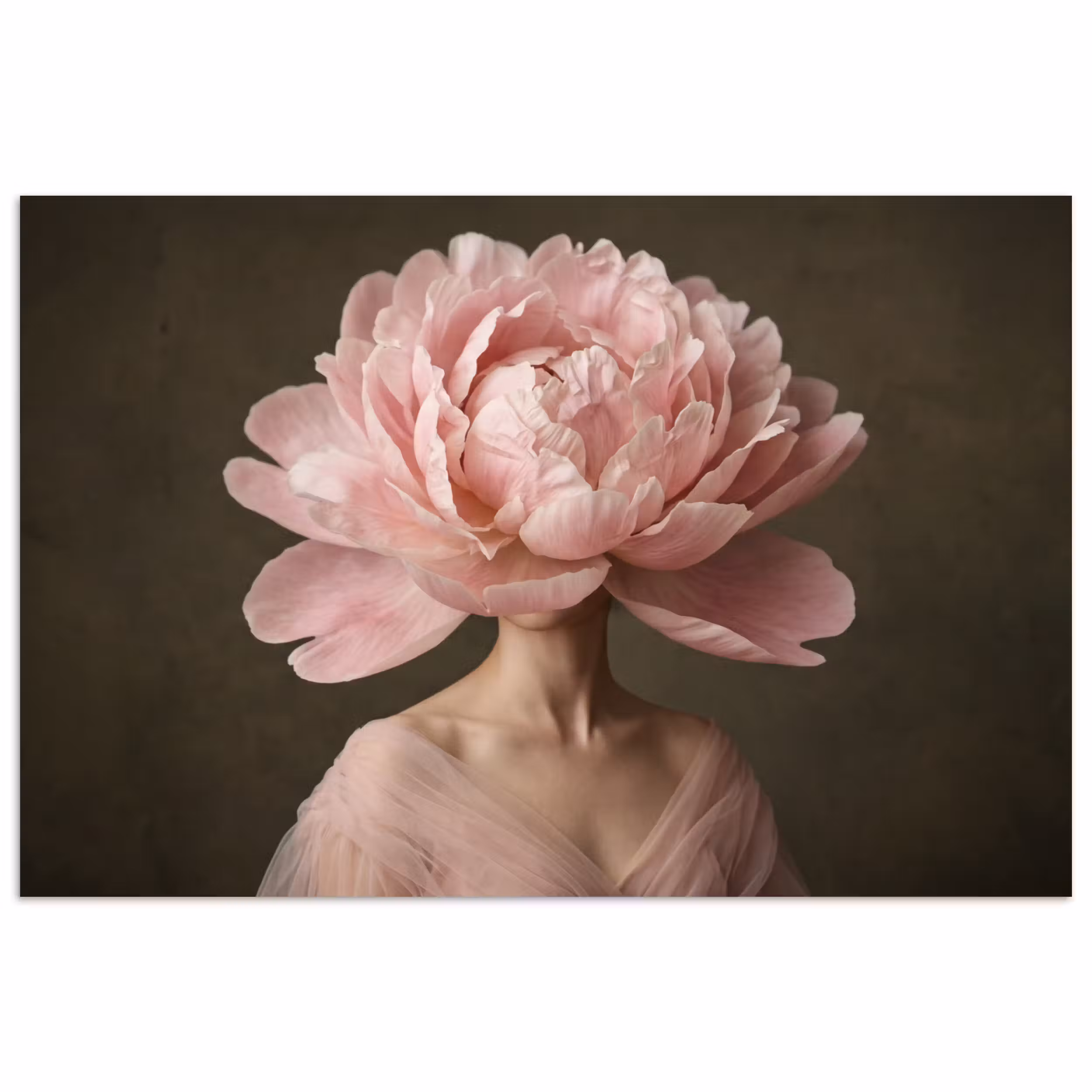 Poster - Gesicht - Rose - Rosa