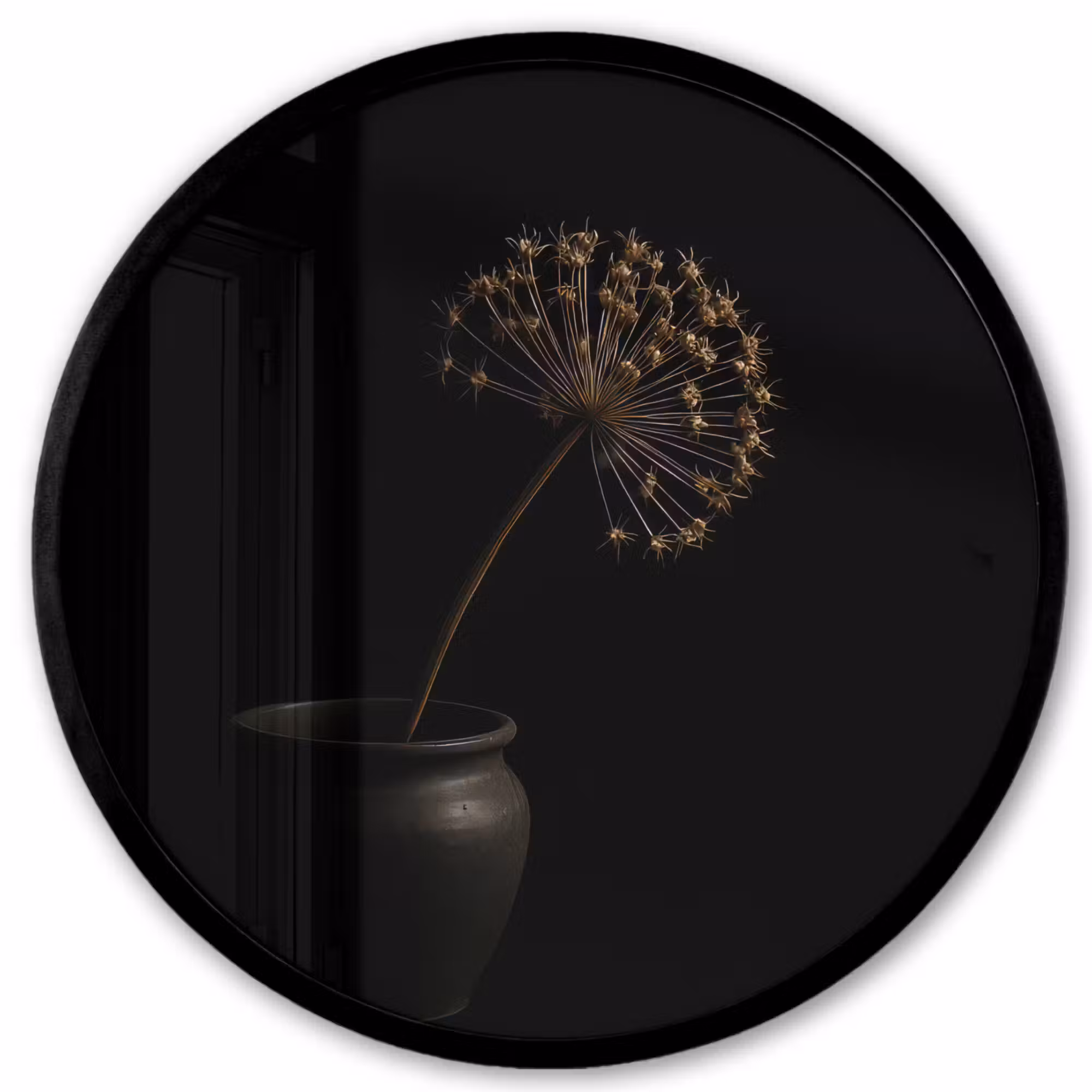 Poster im Rahmen Rund - Zwiebel - Getrocknet - Vase - Schwarz