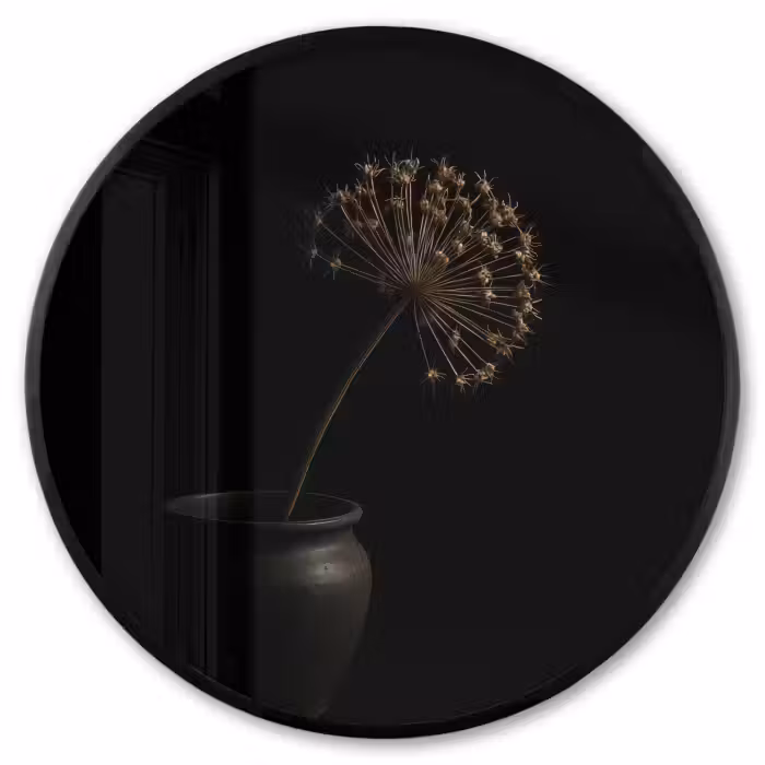 Poster im Rahmen Rund - Zwiebel - Getrocknet - Vase - Schwarz