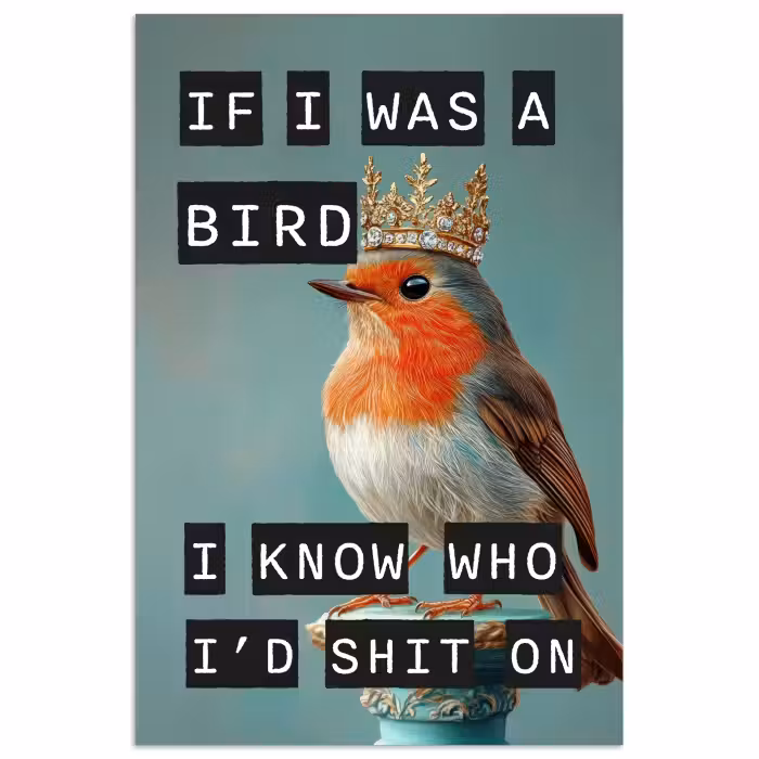 Poster - Rotkehlchen - Vogel - Blau - Dekoration