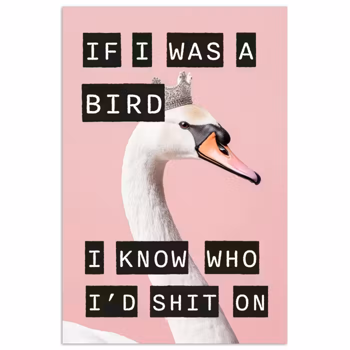Poster - Schwan - Vogel - Dekoration - Rosa