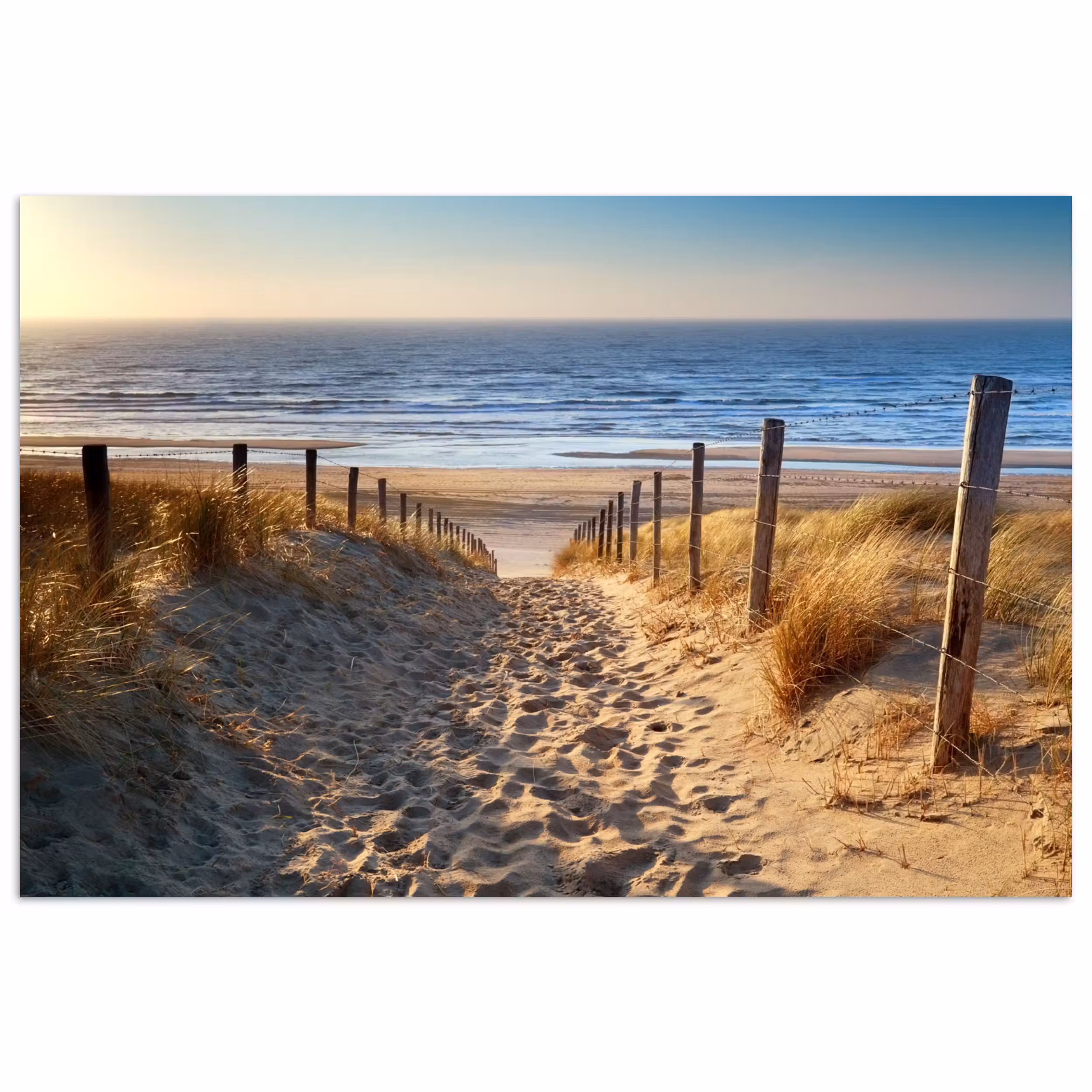 Poster - Strand - Meer - Niederlande - Dünen - Sonne