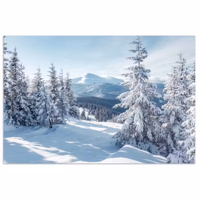 Poster - Winterlandschaft - Natur - Berge - Bäume - Schnee