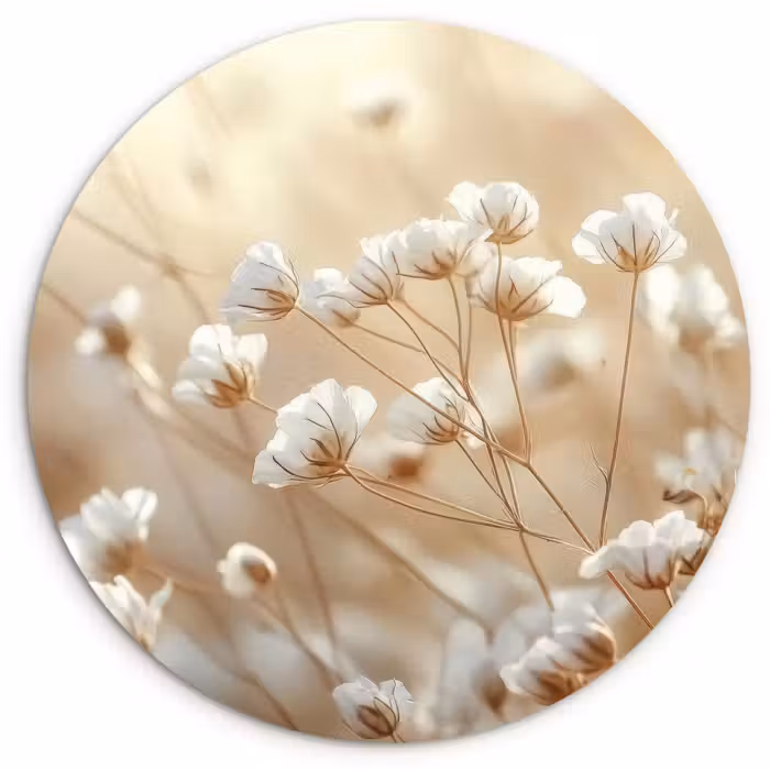 Forexbild Rund - Wild - Blumen - Weiß