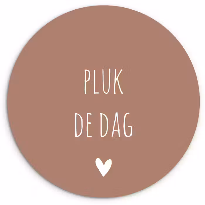 Quotes - Carpe diem - Pluk de dag - Spreuken Wandcirkel kunststof plaat 5mm dik klein -3d