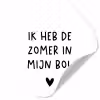 Ik heb de zomer in mijn bol - André Hazes - Spreuken - Quotes Wandcirkel behangsticker klein -3d