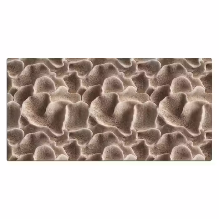 Schreibtischunterlage - Fächerform - Beige - Faserstruktur