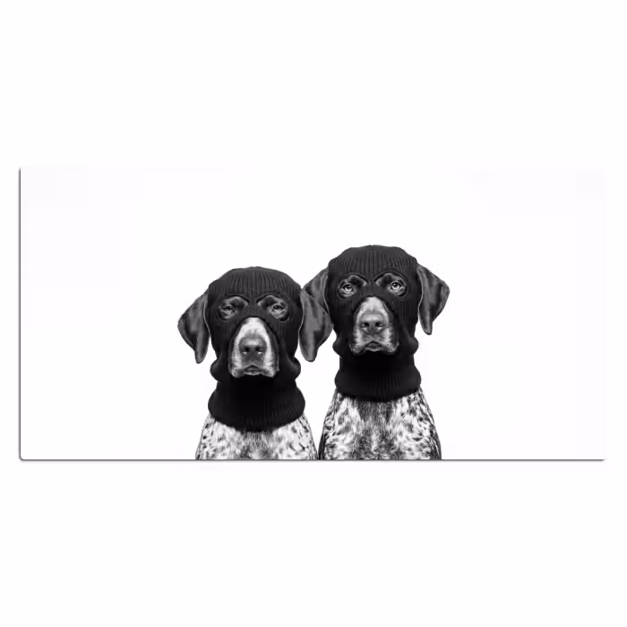 Schreibtischunterlage - Hunde - Balaclava - Schwarz - Weiß
