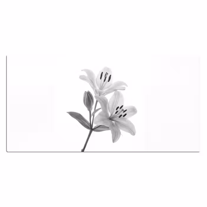 Schreibtischunterlage - Lilien - Elegant - Schwarz - Weiß