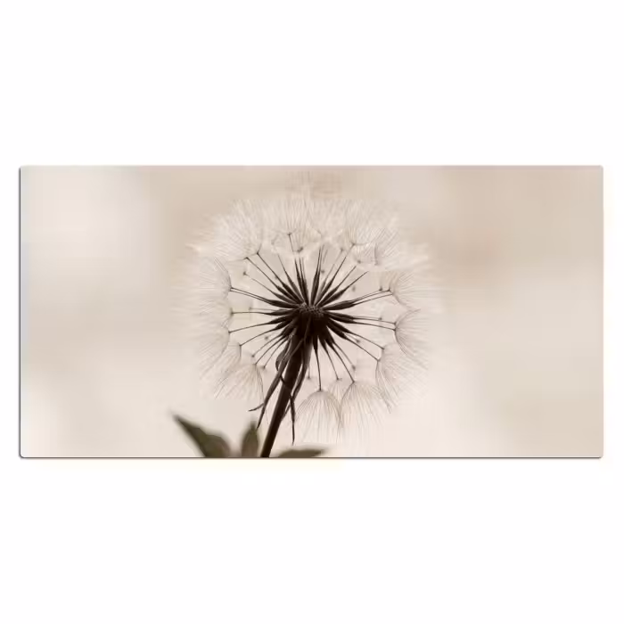 Schreibtischunterlage - Pusteblume - Minimalistisch - Weiß