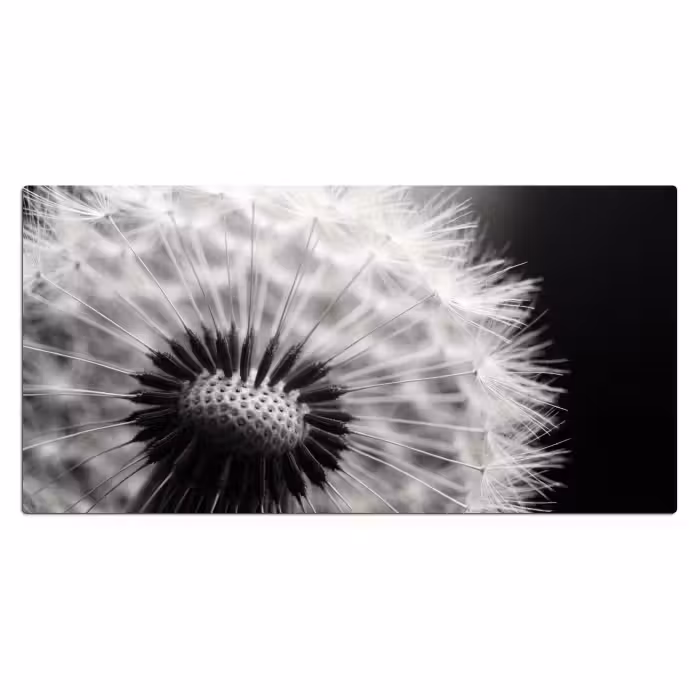 Schreibtischunterlage - Pusteblume - Schwarz - Weiß
