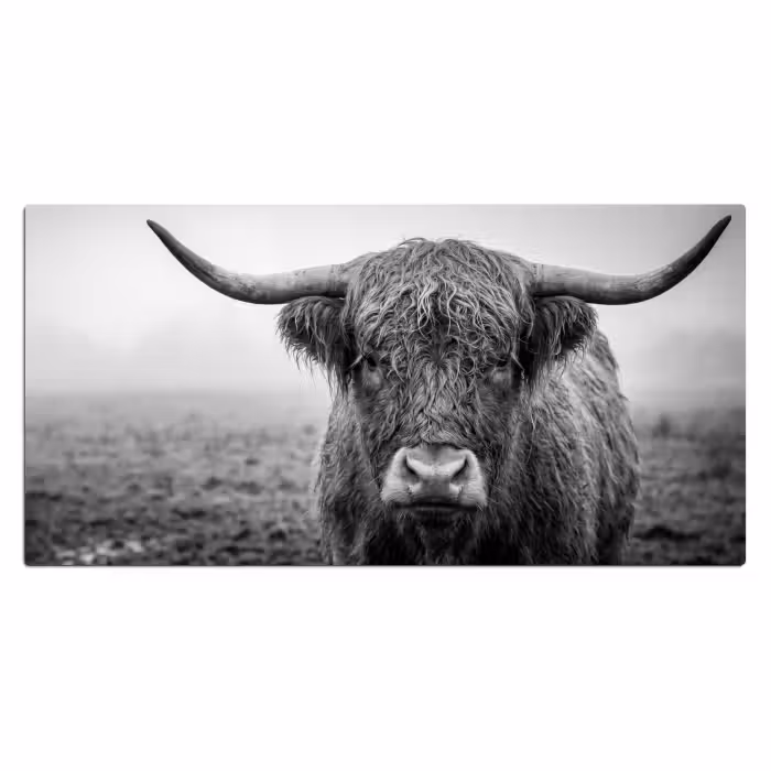 Schreibtischunterlage - Schottischer Highlander - Schwarz - Weiß - Gras