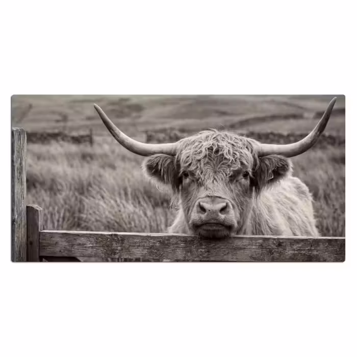 Schreibtischunterlage - Schottischer Highlander - Schwarz - Weiß - Holz