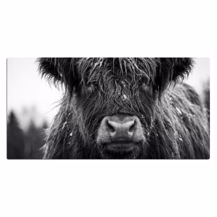 Schreibtischunterlage - Schottischer Highlander - Schwarz - Weiß - Schneeflocken