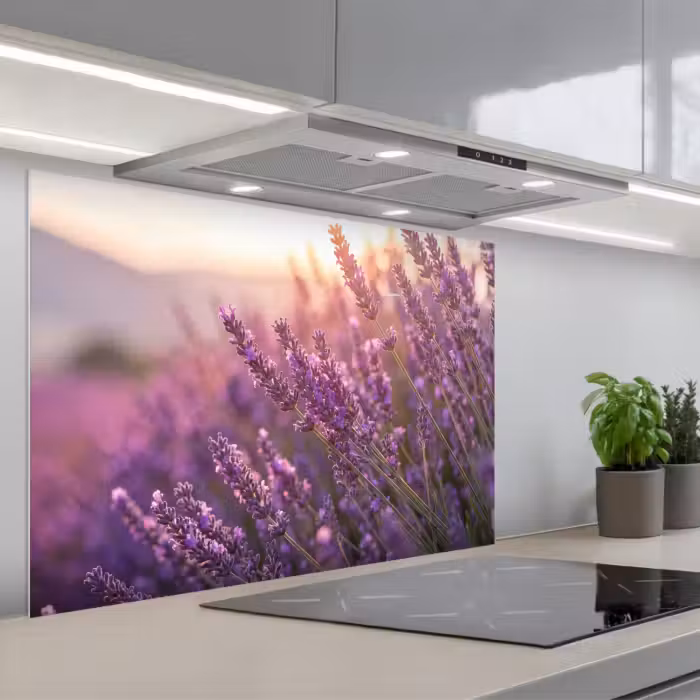Spritzschutz Küche - Lavendel - Lila - Sonnenlicht