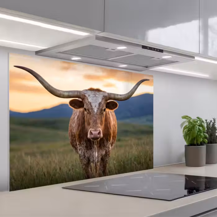 Spritzschutz Küche - Longhorn - Landschaft - Sonnenuntergang