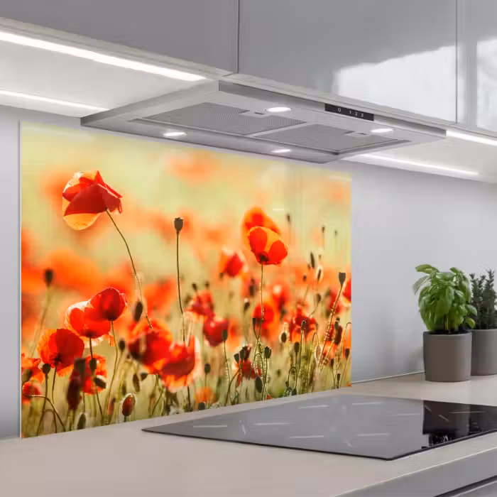 Spritzschutz Küche - Mohnblumen - Blumen - Rot - Blumenfeld