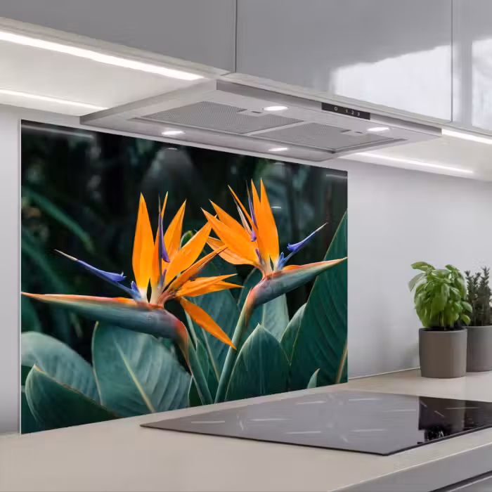 Spritzschutz Küche - Paradiesvogel - Blume - Exotisch