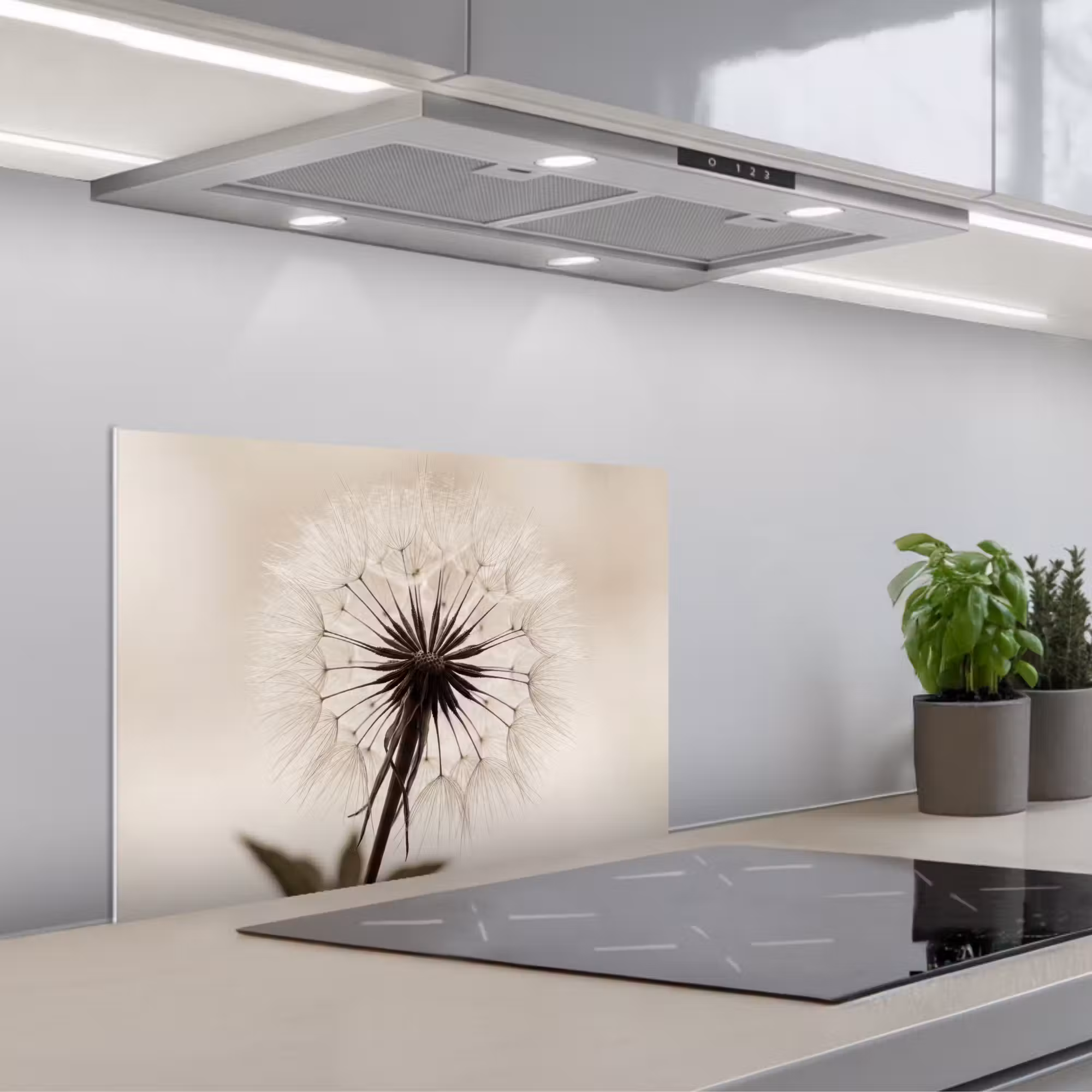 Spritzschutz Küche - Pusteblume - Minimalistisch - Weiß