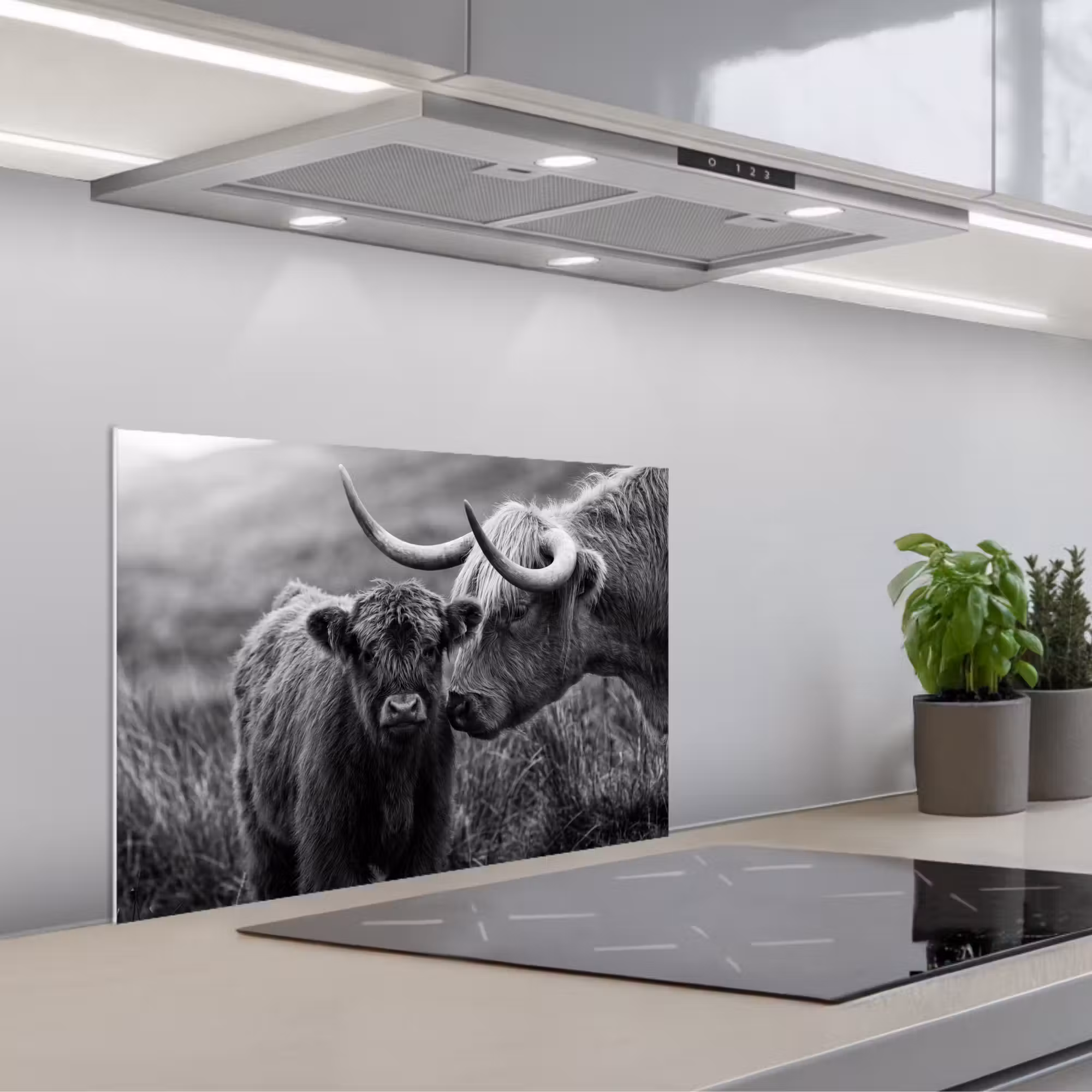 Spritzschutz Küche - Schottischer Highlander - Kalb - Schwarz - Weiß