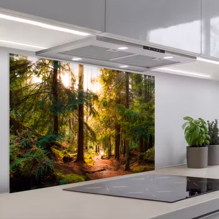 Spritzschutz Küche - Wald - Weg - Bäume - Grün - Sonne - Natur