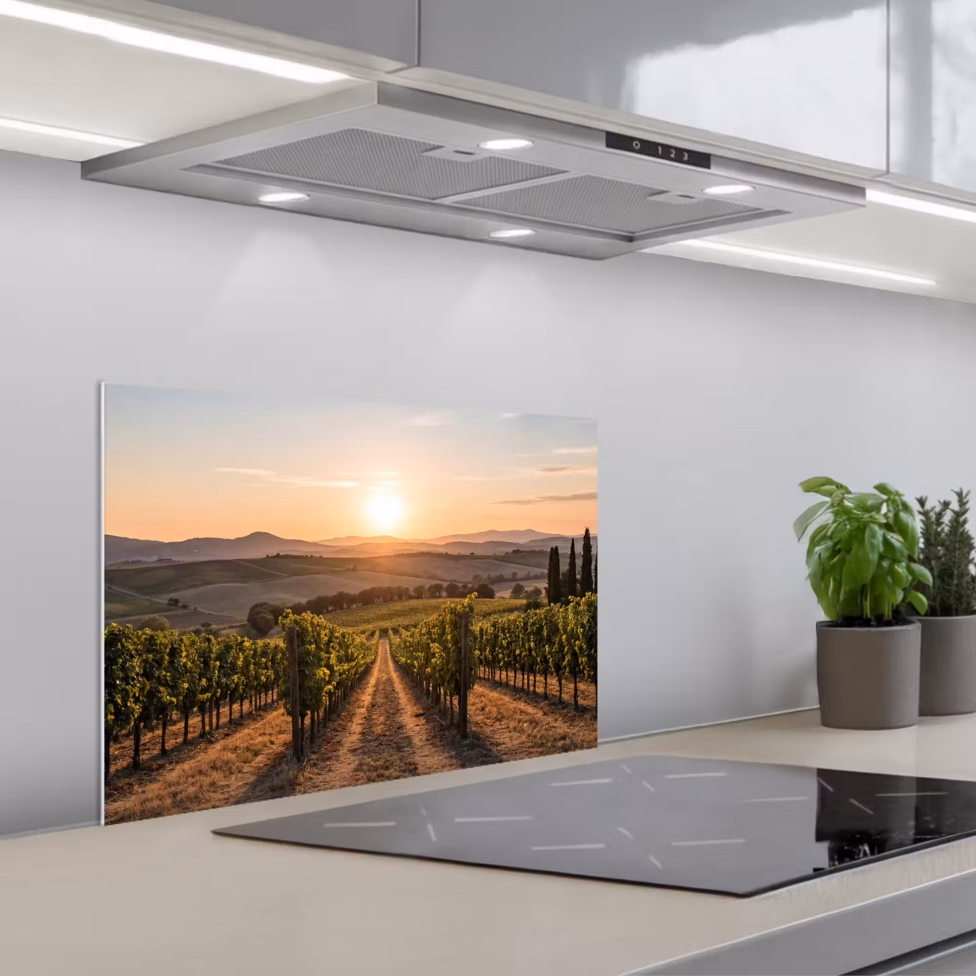 Spritzschutz Küche - Weinberg - Sonnenuntergang - Landschaft