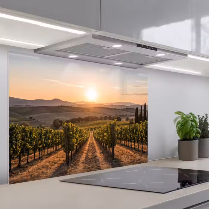 Spritzschutz Küche - Weinberg - Sonnenuntergang - Landschaft