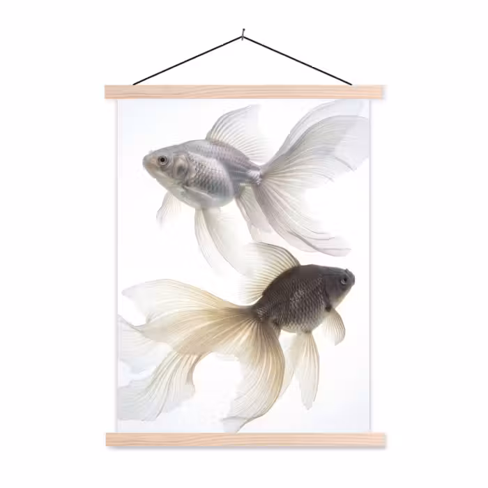 Stoffbild - Goldfisch - Modern - Weiß