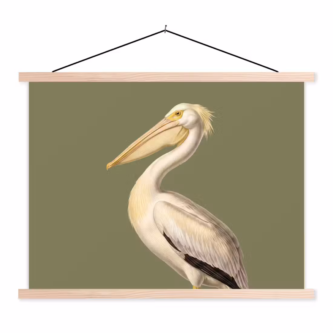 Stoffbild - Pelikan - Weiß - Vogel - Klassisch - Natur