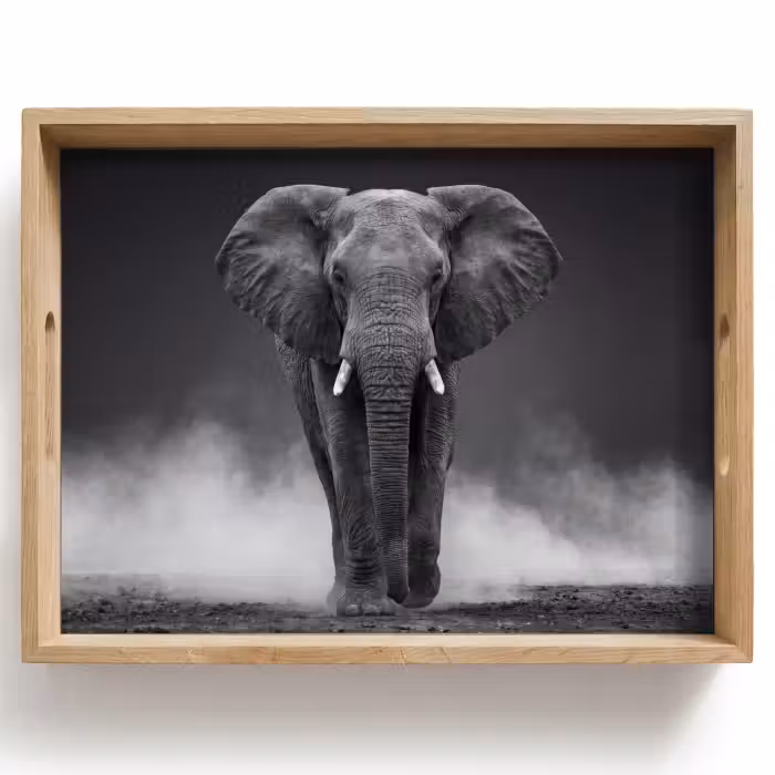 Tablett - Elefant - Schwarz - Weiß - Rauch
