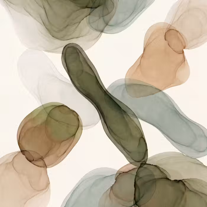 Tapete - Abstrakt - Formen - Modern - Kunst - Grün - Braun