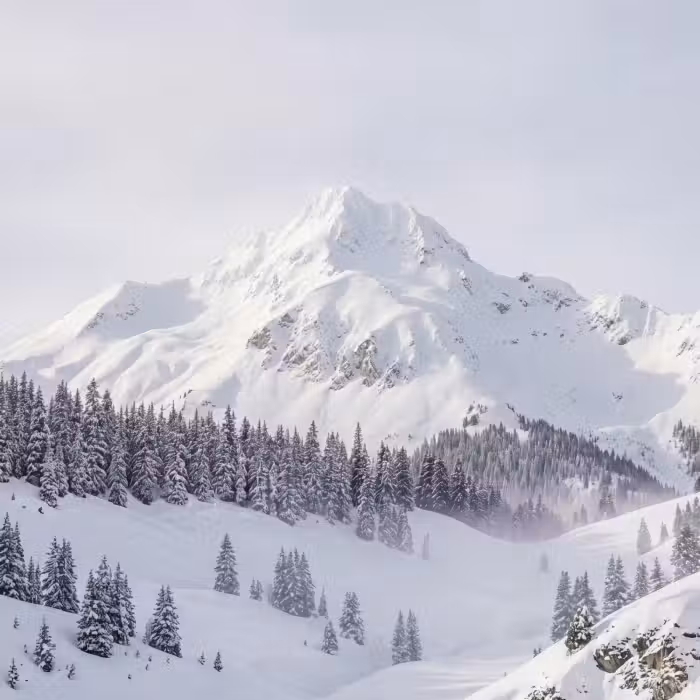 Tapete - Berg - Schnee - Winter - Natur - Weiß