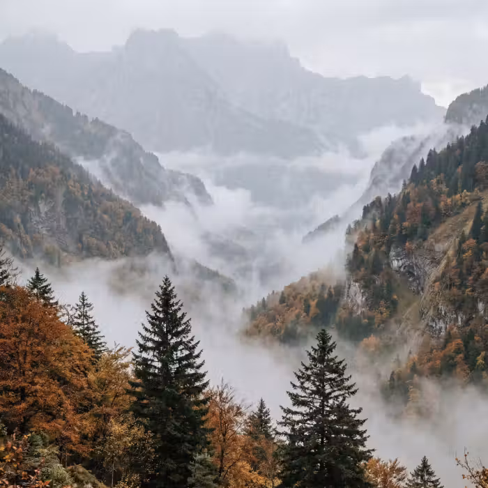 Tapete - Berge - Tal - Nebel - Herbst - Natur