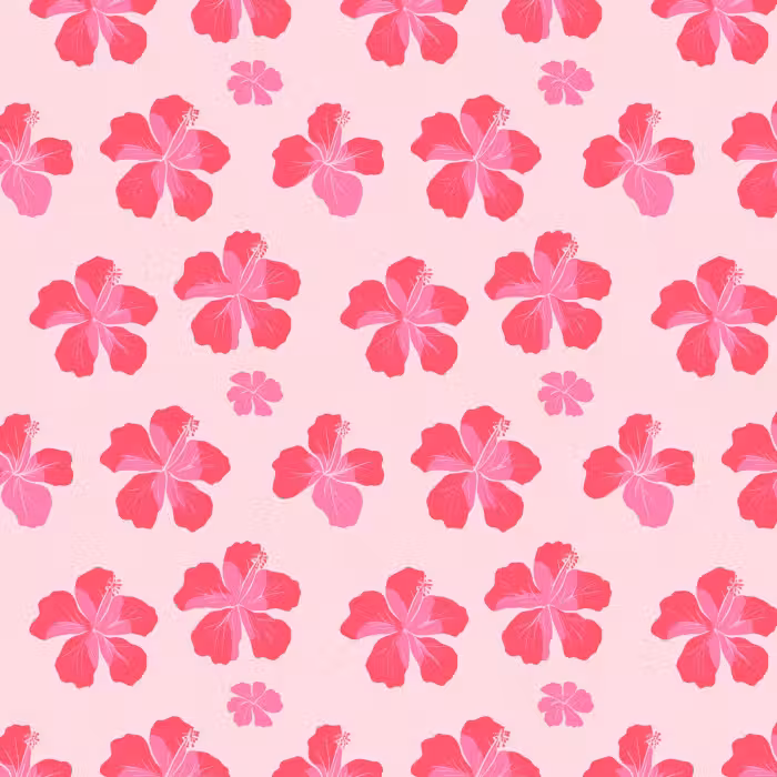 Tapete - Hibiskus - Blumen - Rosa