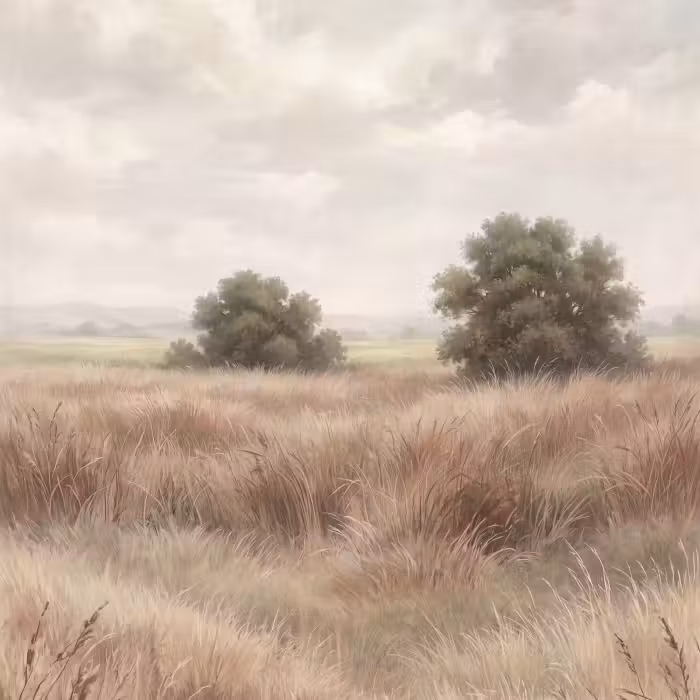 Tapete - Landschaft - Minimalistisch - Beige