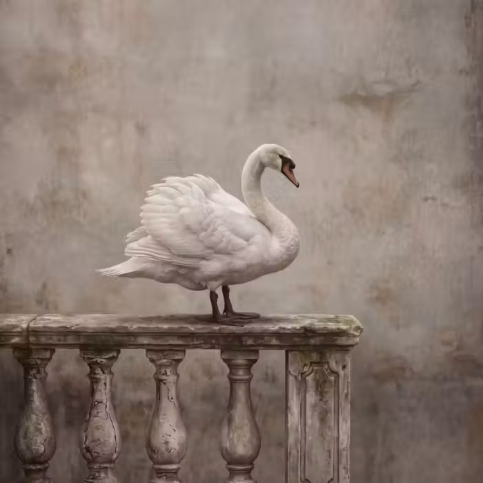 Tapete - Schwan - Elegant - Tiere - Weiß