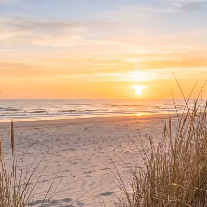 Tapete - Sonnenuntergang - Dünen - Meer