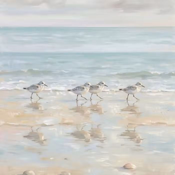 Tapete - Vögel - Strand - Meer