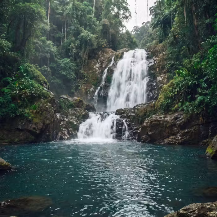 Tapete - Wasserfall - Wald - Natur - Greenkhgyguyg