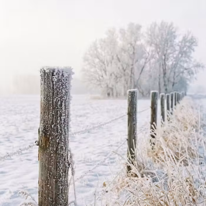 Tapete - Zaun - Schnee - Nebel - Landleben - Nostalgisch