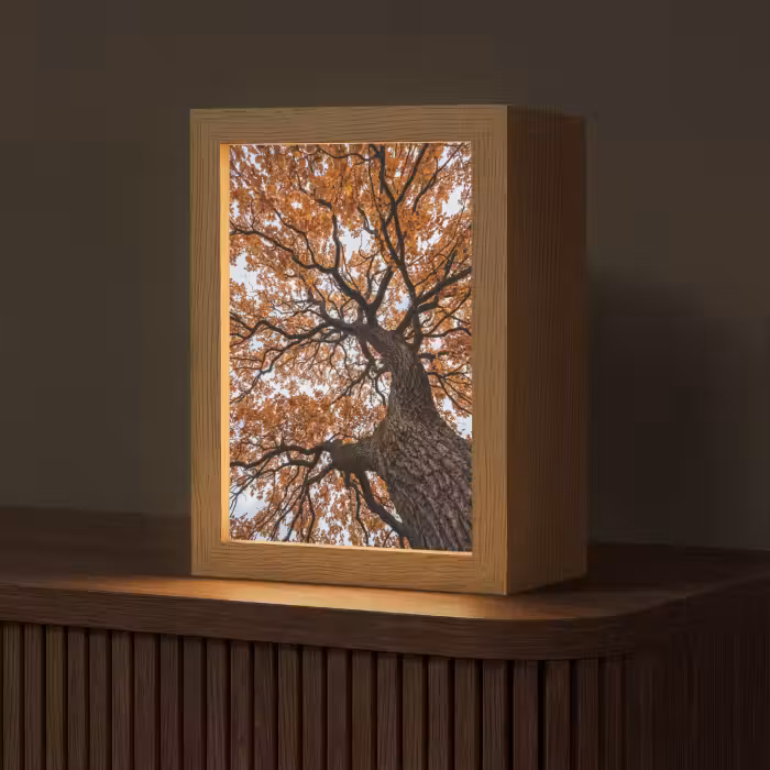 Tischlampe - Baum - Laubdach - Herbst - Orange - Atmosphärisch