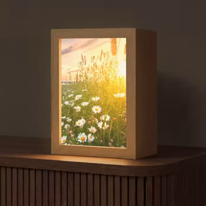 Tischlampe - Blumen - Gänseblümchen - Natur - Sonne - Horizont