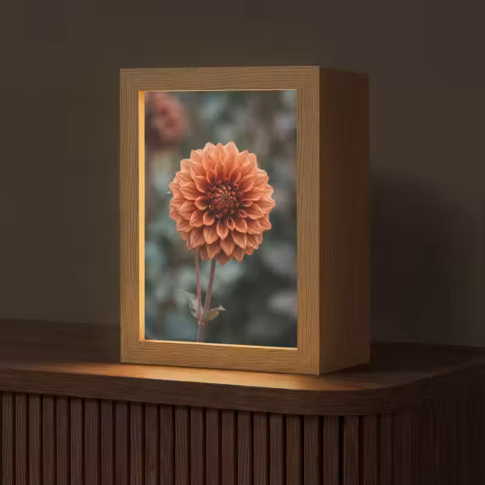 Tischlampe - Dahlie - Blume - Natur - Atmosphärisch