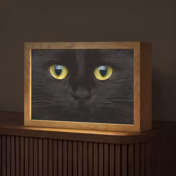 Tischlampe - Katze - Schwarz - Tiere - Natur