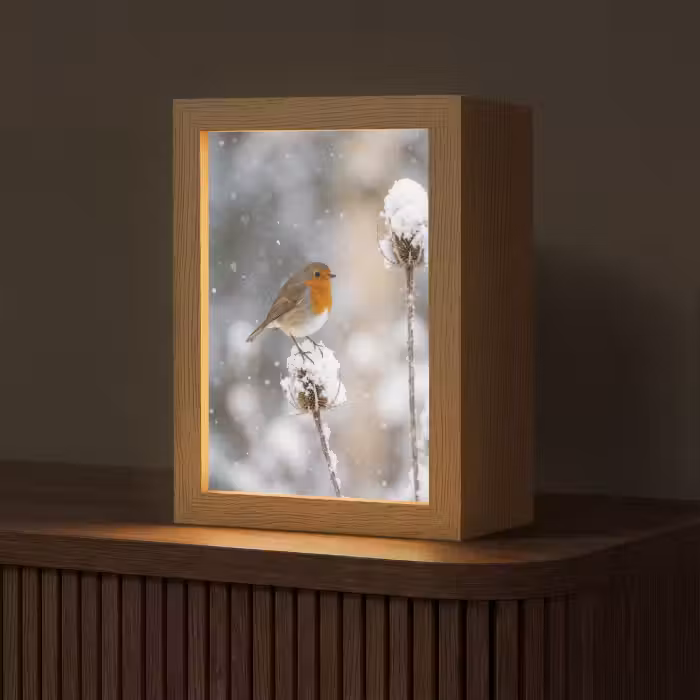 Tischlampe - Rotkehlchen - Getrocknete Blume - Schnee - Winter - Lieblich