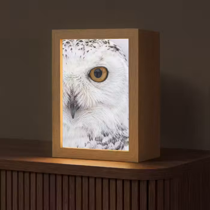 Tischlampe - Schneeeule - Auge - Wildtiere - Weiß