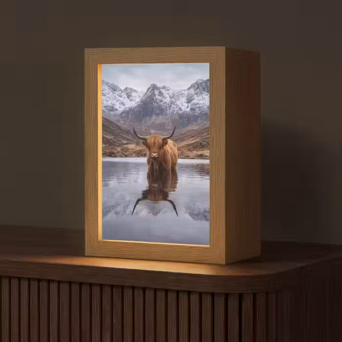 Tischlampe - Schottischer Hochländer - Braun - Wasser