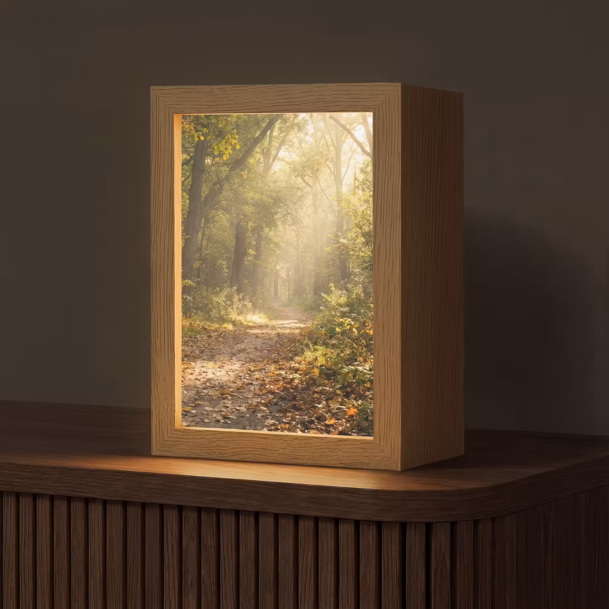 Tischlampe - Sonnenlicht - Waldweg - Bäume