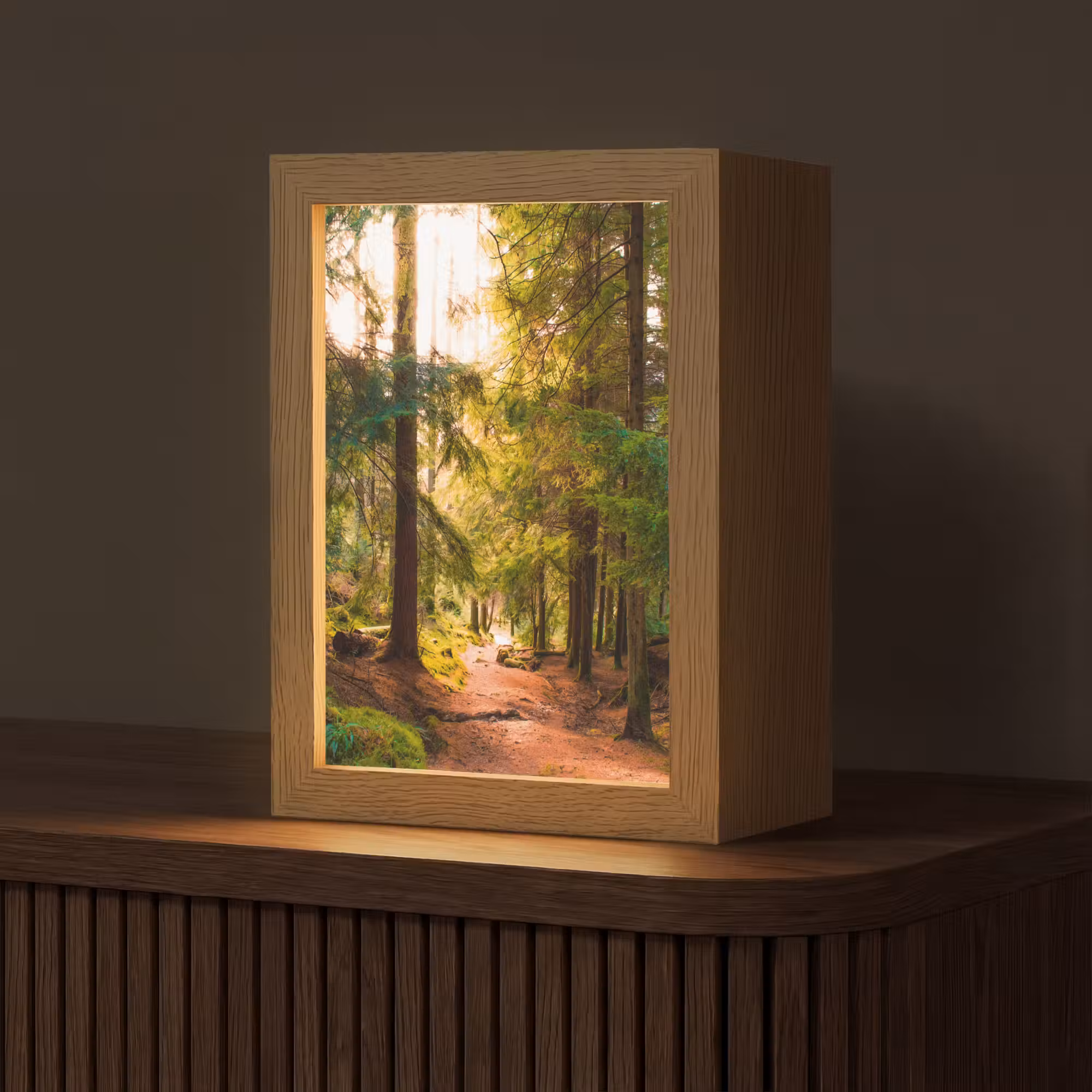Tischlampe - Wald - Weg - Bäume - Grün - Sonne - Natur